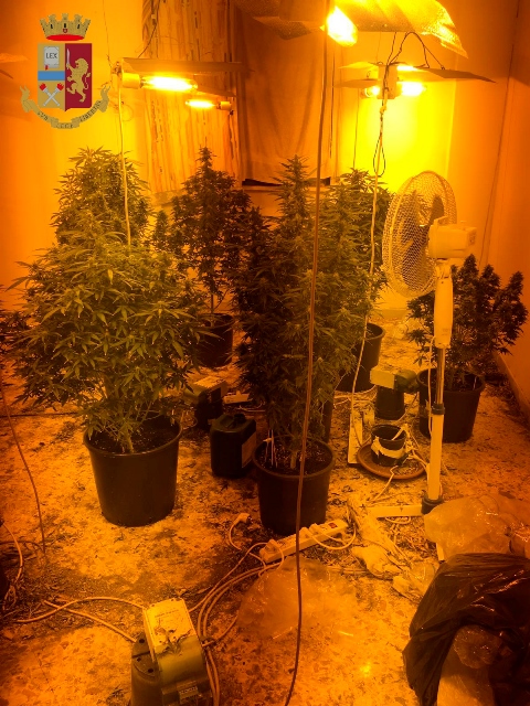 Siracusa, un appartamento trasformato a serra per la coltivazione di marijuana. la Polizia arresta un uomo
