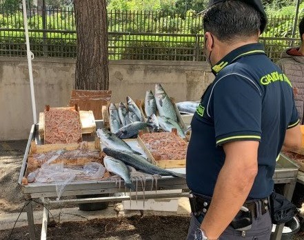 Termini Imerese, la Guardia di Finanza di Palermo sequestra 18 chilogrammi di pesce senza autorizzazioni