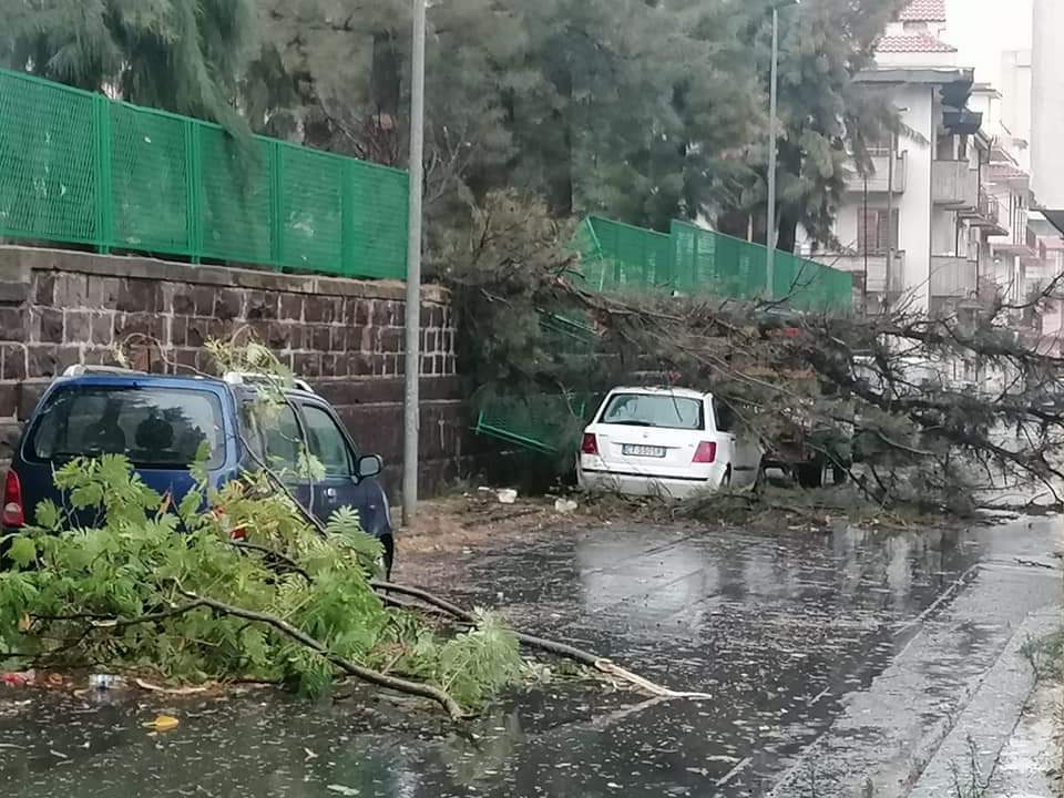 Maltempo, A Francofonte alberi in strada e notevoli danni. A Carlentini e Lentini strade e scantinati allagati