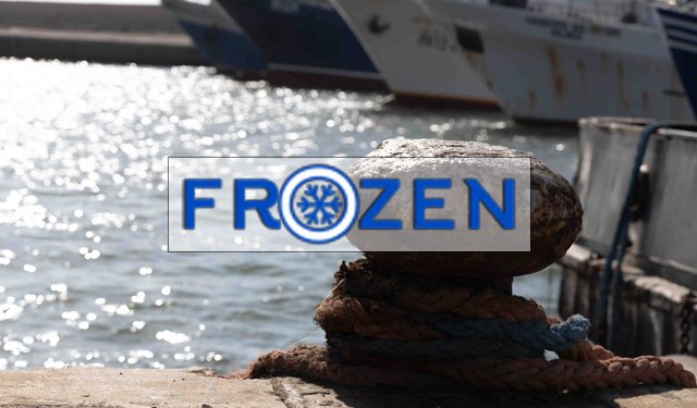 Pesca, martedì primo marzo, conferenza stampa di presentazione del Progetto Frozen in via Magliocco