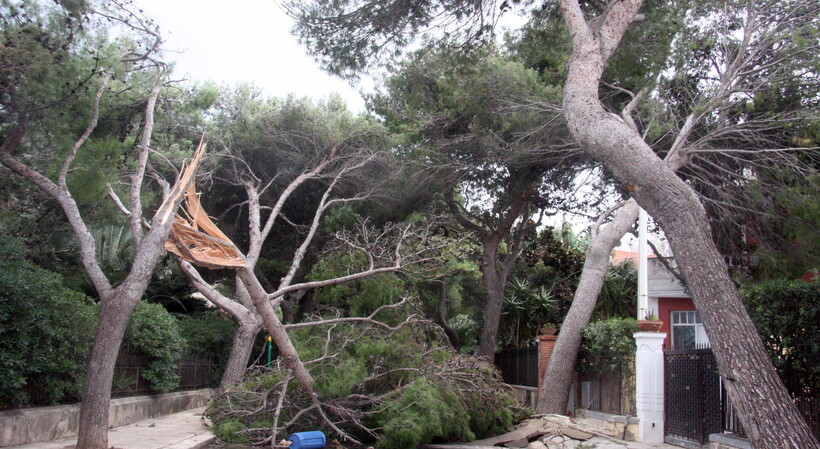 Palermo, Il vento sferza la Sicilia: roghi e alberi caduti, Eolie isolate
