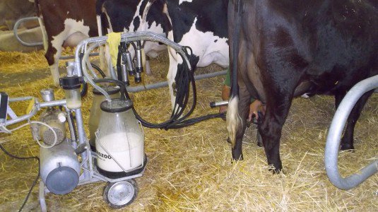 Agricoltura, aiuti post crisi ad agricoltori e produttori latte: proroga al 31 ottobre per la presentazione delle domande