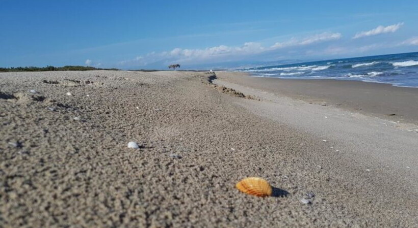 Agnone Bagni, giovedì prossimo, progetto di pulizia spiagge ‘Plastic Free’